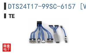 DTS24T17-99SC-6157 [V001]